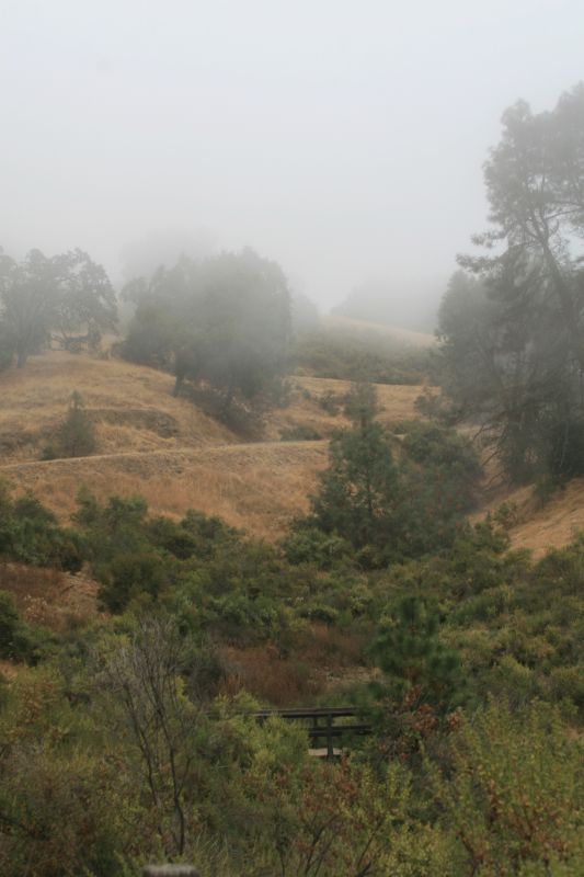 The heat of Summer in the Diablo Range has given way to cool fog.