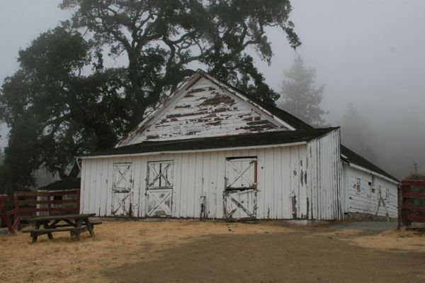 Henry Coe kept a few horses in his stable, which still stands.